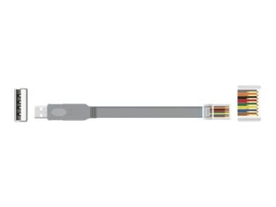 Delock - Sarjattu kaapeli - USB (han) til RJ-45 (han) - 1 m - EIA-232 - vihreä
