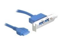 Delock Slot bracket - USB-panel - 19-pins USB 3.0-plugg (hunn) til USB-type A (hunn) - 40 cm