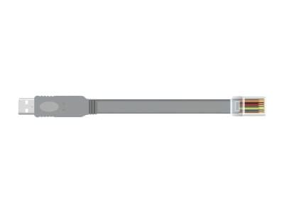 Delock - Seriell kabel - USB (hann) til RJ-45 (hann) - 5 m - EIA-232 - grå