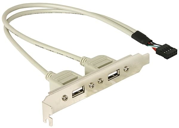 Delock - USB-panel - 10-stifts USB-överdel (hane) till USB (hona) - 30 cm