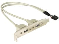 Delock - USB-panel - 10-stifts USB-överdel (hane) till USB (hona) - 30 cm