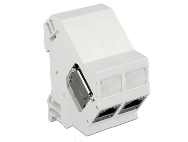 Delock - Modulinnleggs DIN-skinne monteringsbøyle - skinnemonterbar - hvit - 1 port