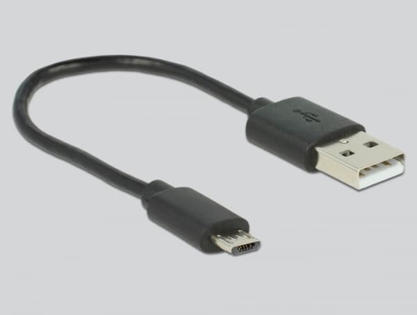 Delock - Analog till digital ljudkonverterare - svart