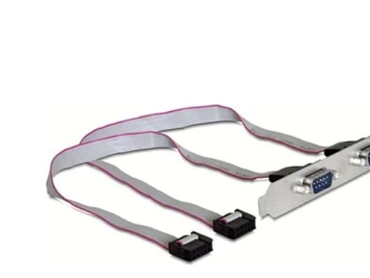 Delock Slotbracket > 2x serial - Serielt panel - 9-pins serieheader (hunn) til DB-9 (hann) - 27 cm