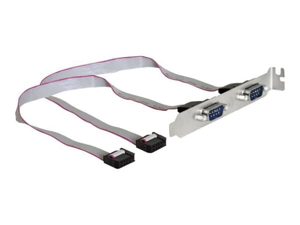 Delock Slotbracket > 2x serial - Serielt panel - 9-pins serieheader (hunn) til DB-9 (hann) - 27 cm
