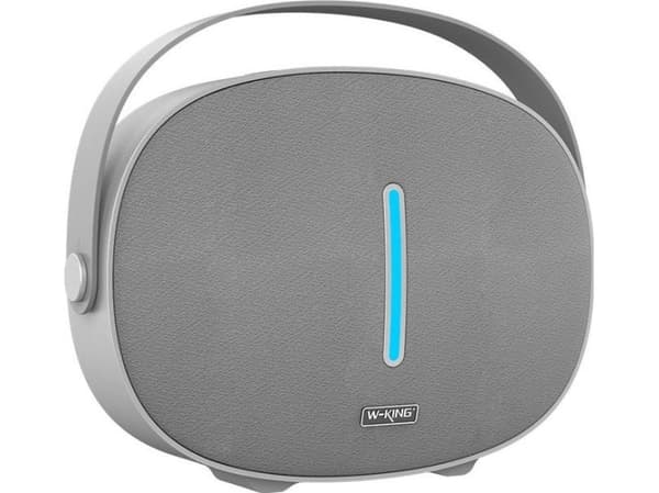 W-KING T8 - Bluetooth Speaker - 30W (silver)