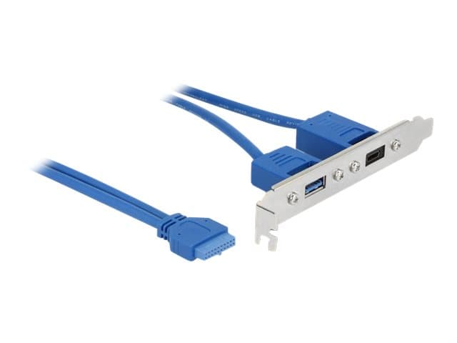Delock Slot bracket - USB-panel - 19-stifts USB 3.1-kontakt (hona) till USB typ A, USB-C (hona) - 30 cm - blå