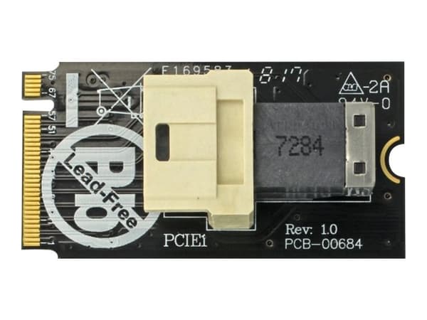 Delock Adapter M.2 Key M > SFF-8643 NVMe horizontal 2242 - Grensesnittsadapter - 2.5" - U.2 NVMe - M.2 Card