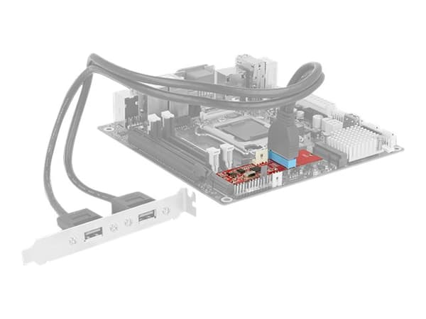 Delock-konverter M.2-nøkkel B+M-plugg > 1 x USB 3.0-hodeplugg (62842)