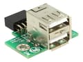 Miniatyrbild 1 av 5: Delock USB Pin Header female > 2 x USB 2.0 Type-A female - up - USB-adapter - 9-stifts USB-överdel (hona) till USB (hona) - USB 2.0