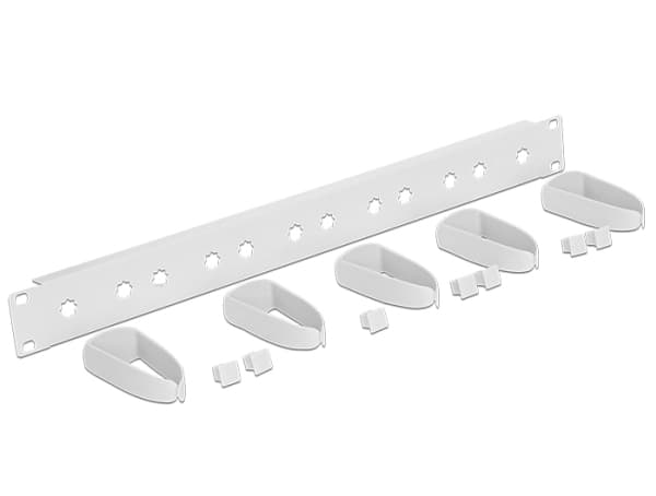 Delock Universal - Panel för kabelhantering - rackmontering - ljusgrå, RAL 7035 - 1U - 19"