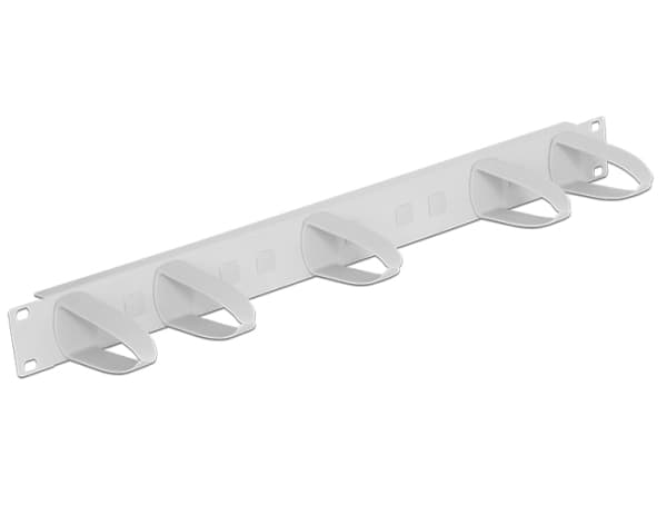 Delock Universal - Panel för kabelhantering - rackmontering - ljusgrå, RAL 7035 - 1U - 19"