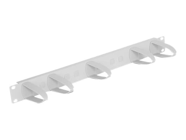 Delock Universal - Panel för kabelhantering - rackmontering - ljusgrå, RAL 7035 - 1U - 19"