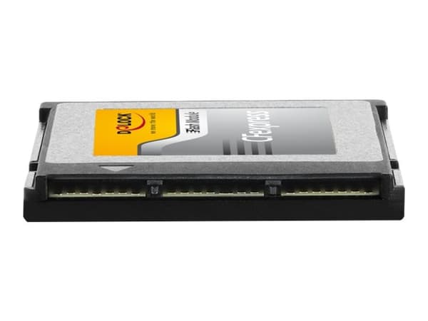 Delock - Flashhukommelseskort - 256 GB - CFexpress