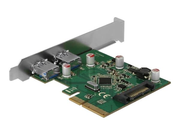 Delock - USB-adapter - PCIe 3.0 x4 lav profil - USB 3.1 Gen 2 x 2