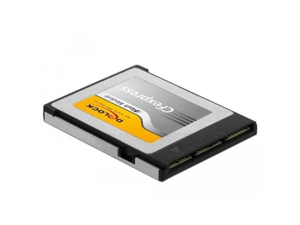 Delock - Flash-minneskort - 512 GB - CFexpress