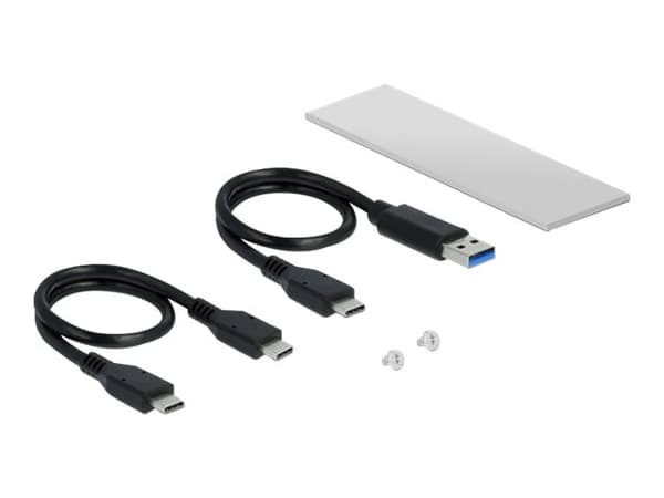 Delock - Drevkabinett - M.2 NVMe Card - USB 3.2 (Gen 2) - sølv Sølv