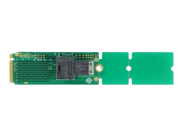 Delock Adapter M.2 Key M to SFF-8643 NVMe 22110 / 2280 / 2260 - Grensesnittsadapter - M.2 - U.2 NVMe - M.2 Card