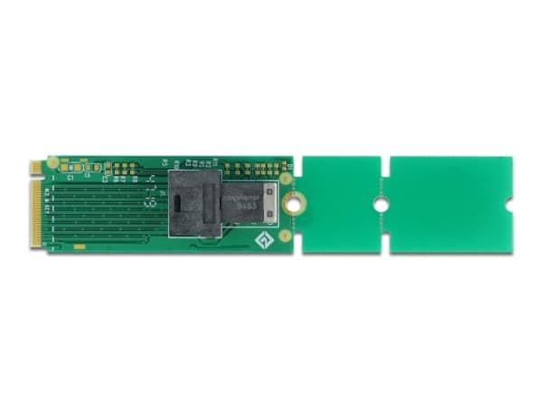 Delock Adapter M.2 Key M to SFF-8643 NVMe 22110 / 2280 / 2260 - Grensesnittsadapter - M.2 - U.2 NVMe - M.2 Card