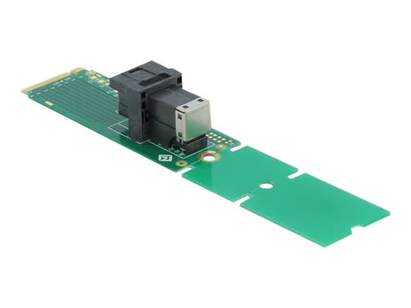 Delock Adapter M.2 Key M to SFF-8643 NVMe 22110 / 2280 / 2260 - Grensesnittsadapter - M.2 - U.2 NVMe - M.2 Card Grønn