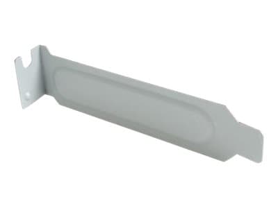 StarTech.com Steel Low Profile Expansion Slot Cover Plate - System slot blanking panel (pack of 5) - PLATEBLANKLP - Kortplats i system för skärmsläck