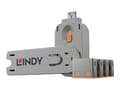 Miniatyrbild 1 av 5: Lindy USB Port Blocker - USB-portblockerare (paket om 4)