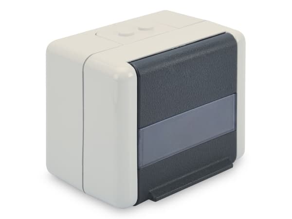 Digitus Professional - Overflatemonteringsboks for nettverk - alpehvit, antrasitt - 2 porter