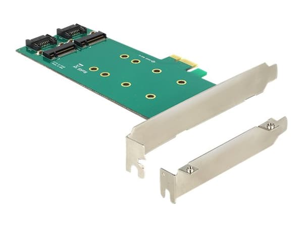 DeLOCK PCI Express-kort > 2 x intern M.2 - Lagringskontroll - M.2-kort / SATA 6Gb/s lavprofil - 6 Gbit/s - PCIe x1