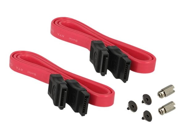 DeLOCK PCI Express-kort > 2 x intern M.2 - Lagringskontroll - M.2-kort / SATA 6Gb/s lavprofil - 6 Gbit/s - PCIe x1