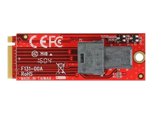 Delock - Grensesnittadapter - SAS 12Gb/s - M.2 Kort