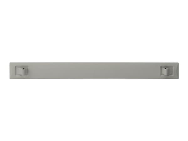 DIGITUS Professional - Tomt panel - grå - 1U - 19"
