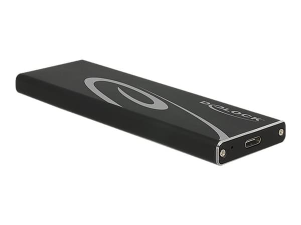 Delock - Lagringspakning - M.2 Kort - USB 3.1 (Gen 2) - sort