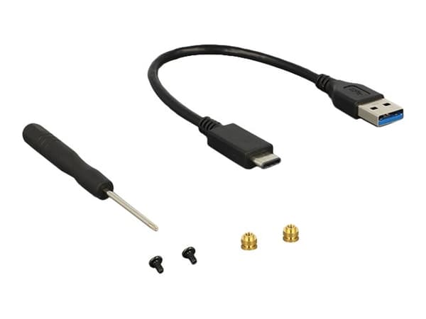 Delock - Lagringspakning - M.2 Kort - USB 3.1 (Gen 2) - sort