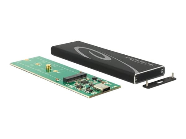 Delock - Lagringspakning - M.2 Kort - USB 3.1 (Gen 2) - sort