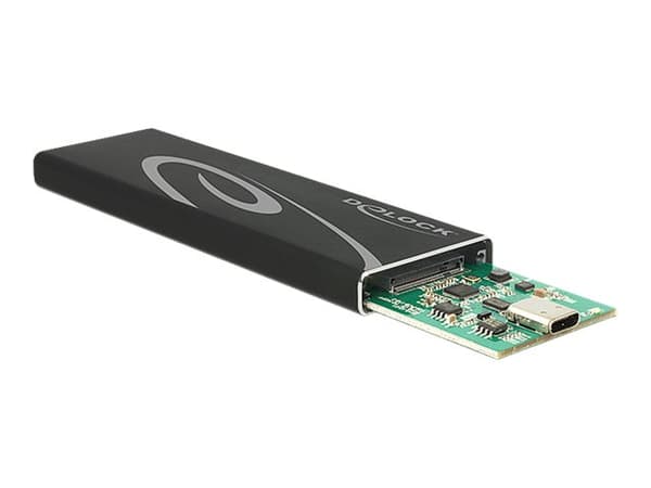 Delock - Lagringspakning - M.2 Kort - USB 3.1 (Gen 2) - sort Sort