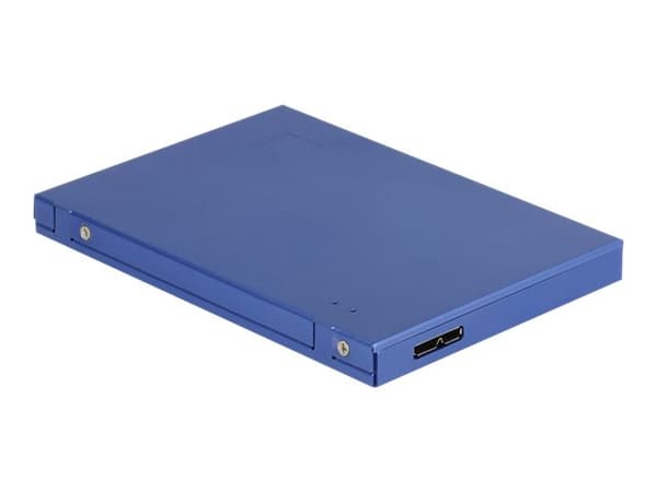 DeLOCK - Lagringspakke - M.2-kort / mSATA - USB 3.1 (Gen 2)