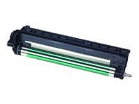 Konica Minolta - OPC-trommel - for magicolor 2200, 2200 DL, 2200 EN, 2200 GN, 2200 N, 2210