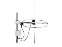 Maximum - Antenne - radio - 2 dBi - utendørs