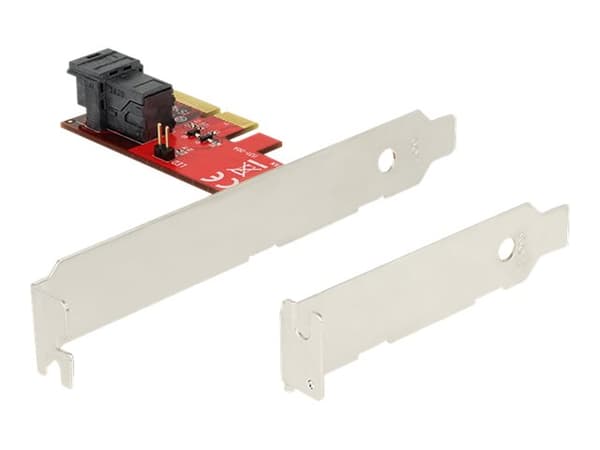 DeLOCK PCI Express x4-kort > 1 x intern SFF-8643 NVMe - Lagringskontroll - 2,5" - M.2-kort lavprofil - 12 GBps - PCIe 3.0 x4