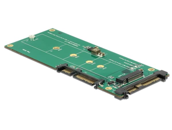 DeLOCK - Liitäntäsovitin - M.2 (M.2) - M.2-kortti - SATA 6Gb/s, U.2 (62864)
