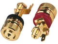 Miniatyrbilde 4 av 5: Monacor BP-520G, speaker terminals, Gull, Gull