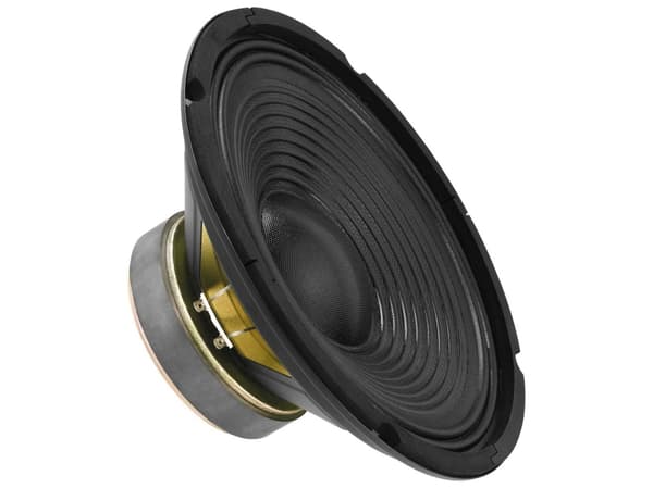 SP-252PA 10´´ højttaler