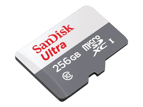 SanDisk Ultra - Flash-minneskort (microSDXC till SD-adapter inkluderad) - 256 GB - Class 10 - mikroSDXC UHS-I
