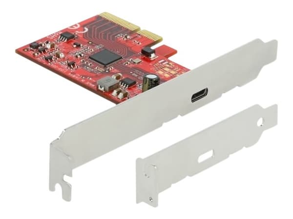 Delock - USB-adapter - PCIe 3.0 x4 - USB-C 3.2 Gen 2x2 x 1