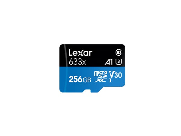 Lexar High Performance - Flashminnekort - 256 GB - A1 / Video Class V30 / UHS-I U3 / Class10 - SDXC UHS-I