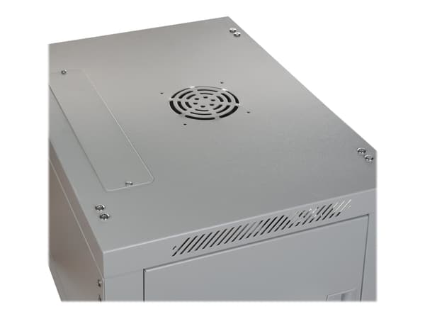 DIGITUS Professional DN-WU19 09U/450 - Skap - veggmonterbar - grå, RAL 7035 - 9U - 19"