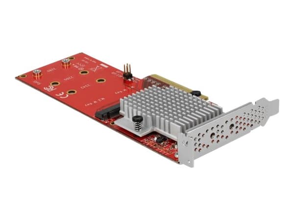 Delock PCI Express Card > 2 x internal M.2 - Gränssnittsadapter - M.2 Card - låg profil - PCIe 3.0 x8