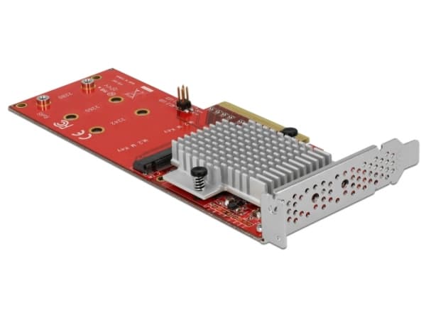 Delock PCI Express Card > 2 x internal M.2 - Gränssnittsadapter - M.2 Card - låg profil - PCIe 3.0 x8