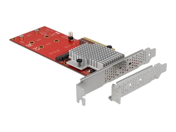 Delock PCI Express Card > 2 x internal M.2 - Gränssnittsadapter - M.2 Card - låg profil - PCIe 3.0 x8