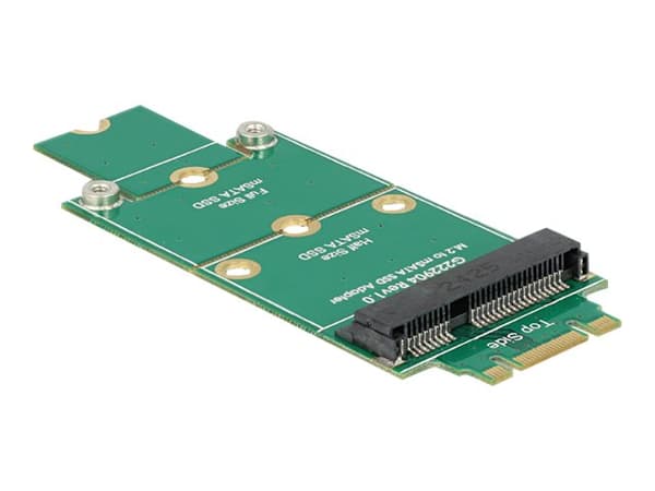 DeLOCK Adapter mSATA > M.2 NGFF - Lagringskontroll - mSATA - mSATA - M.2-kort